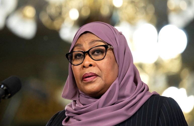 TZ pushes back after statement by envoys