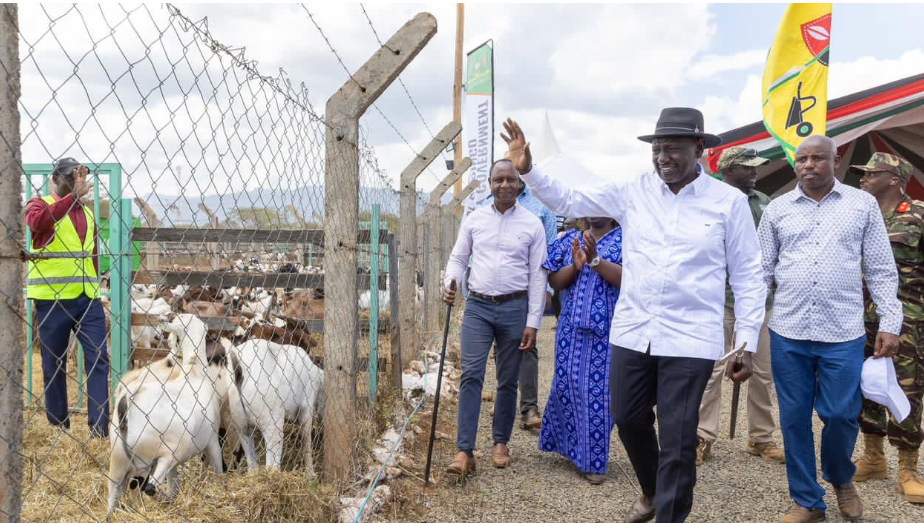 [PHOTOS] Ruto graces legendary Kimalel Goat Auction