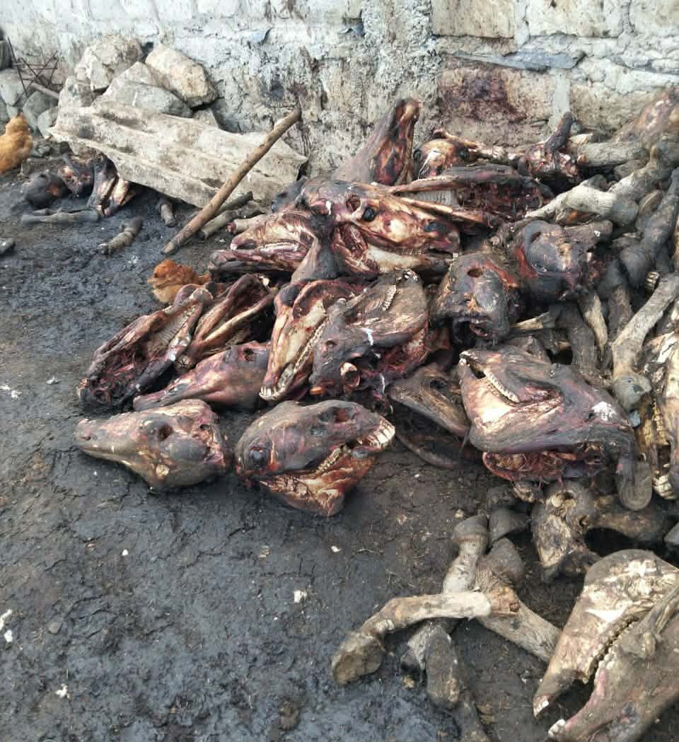 Police arrest three and recover 100 donkeys in Athi River