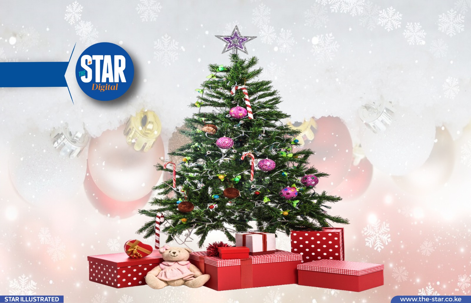 African countries that don't recognise Christmas Day