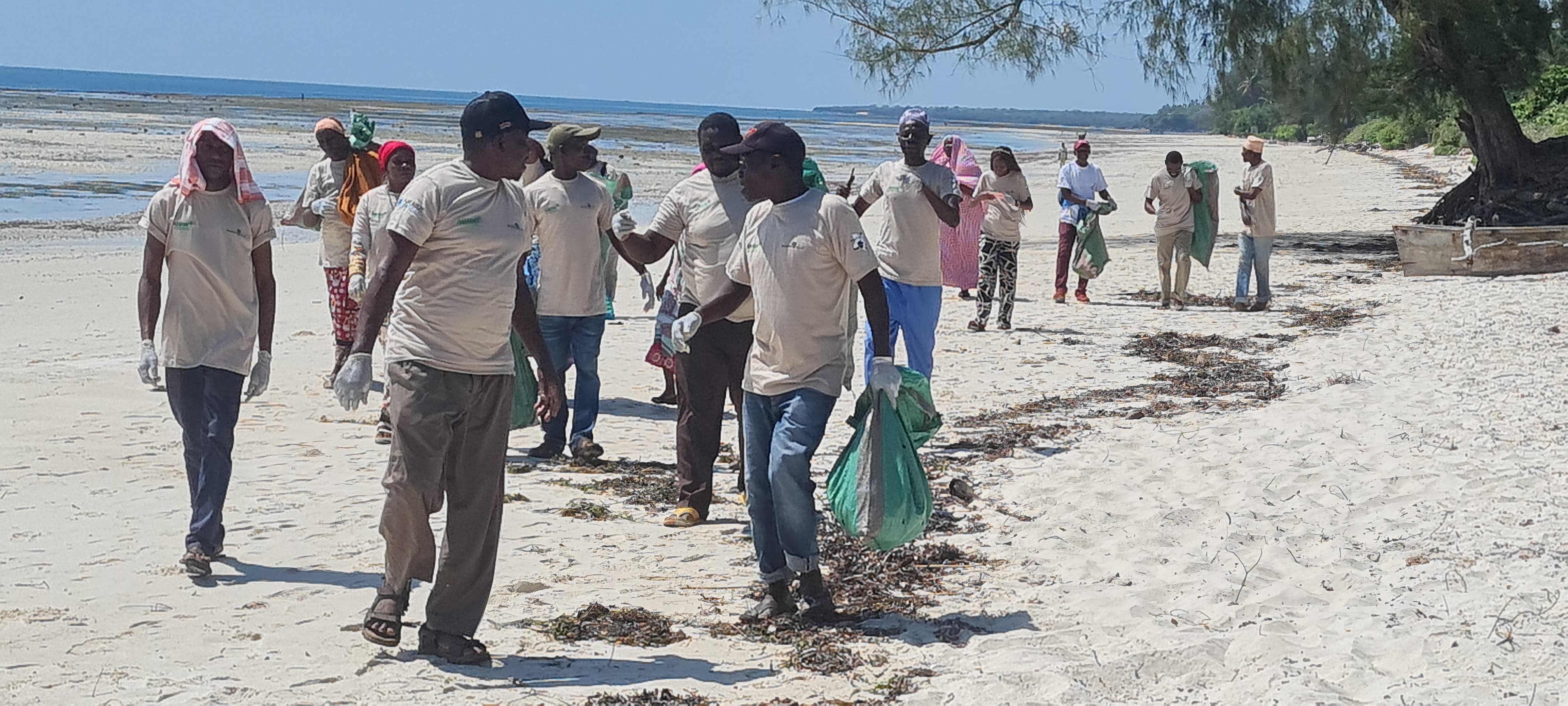 Human threat puts turtles on the brink as Coast guardians step in
