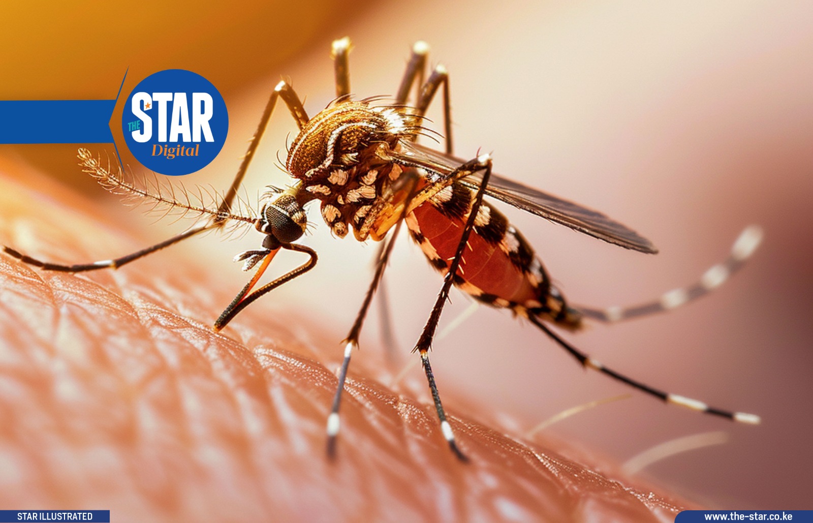 Top funders for malaria-related research and development globally
