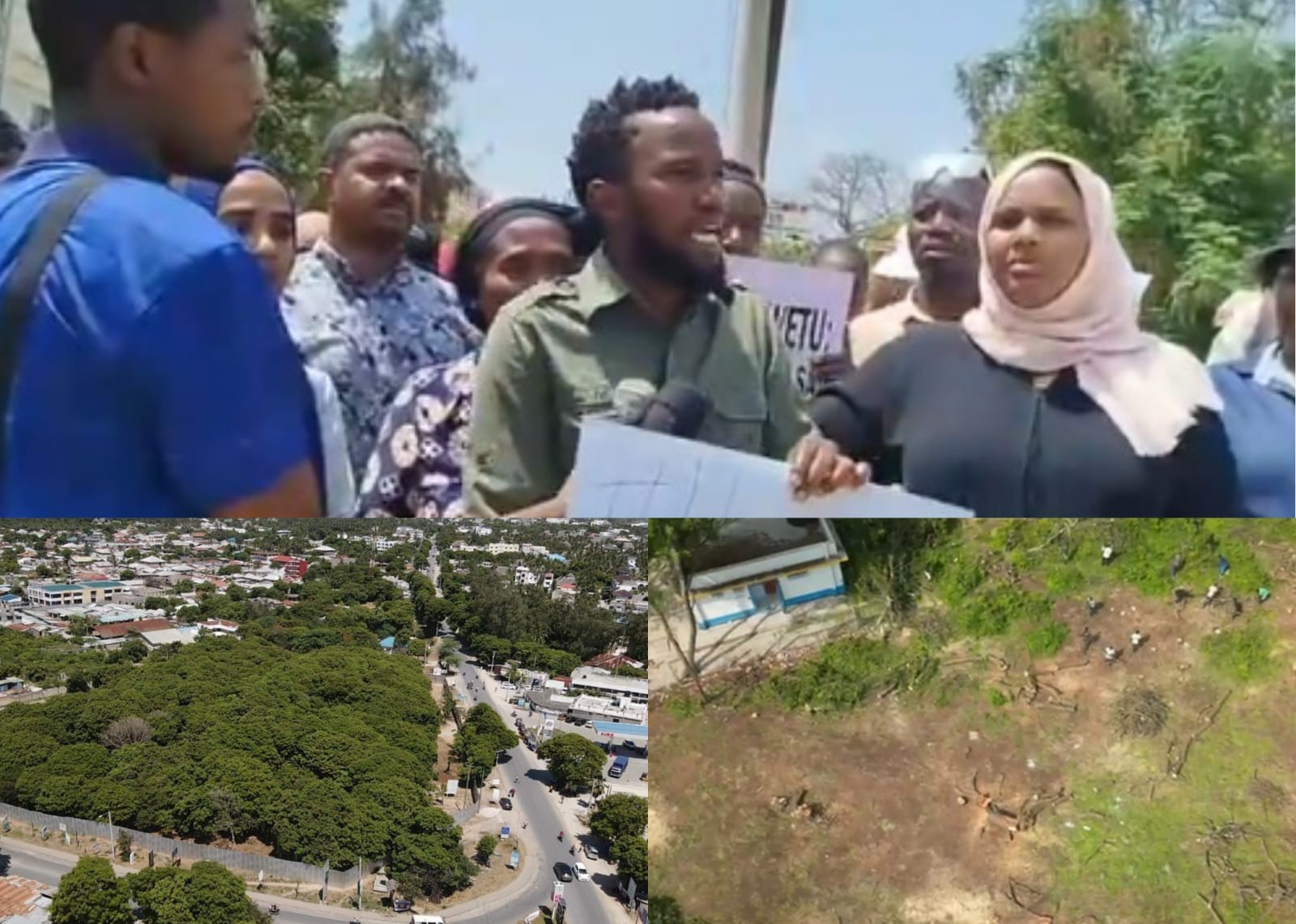 Activists raise concern over cutting of trees in Watamu Park