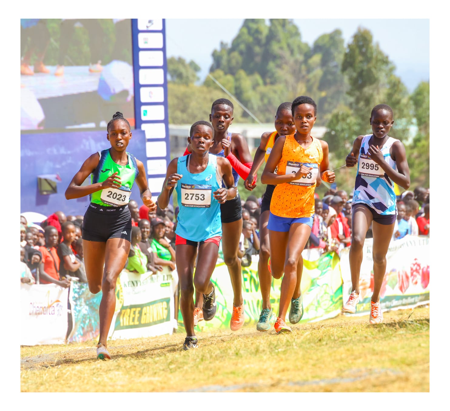 Joan Chepkurui (L), Mercy Kirwa and Fancy Chepkorir (R) compete in the women's U-20 race/ HANDOUT