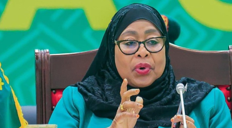 TZ responds to global concerns over post-poll violence