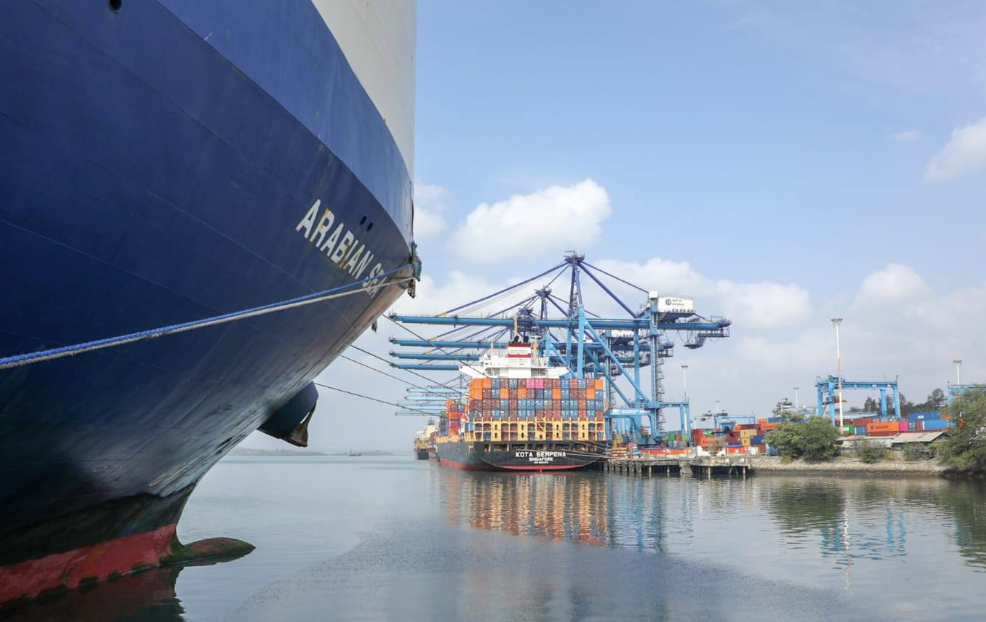 Ensure accuracy in country of origin declaration, importers told