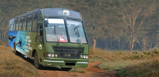 KWS reintroduces bus shuttle service for festive season