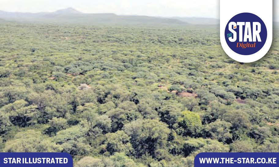Status of land fraud in Kenya