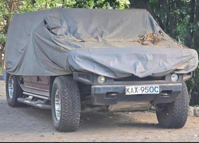Raila Jnr vows to restore late father's Hammer