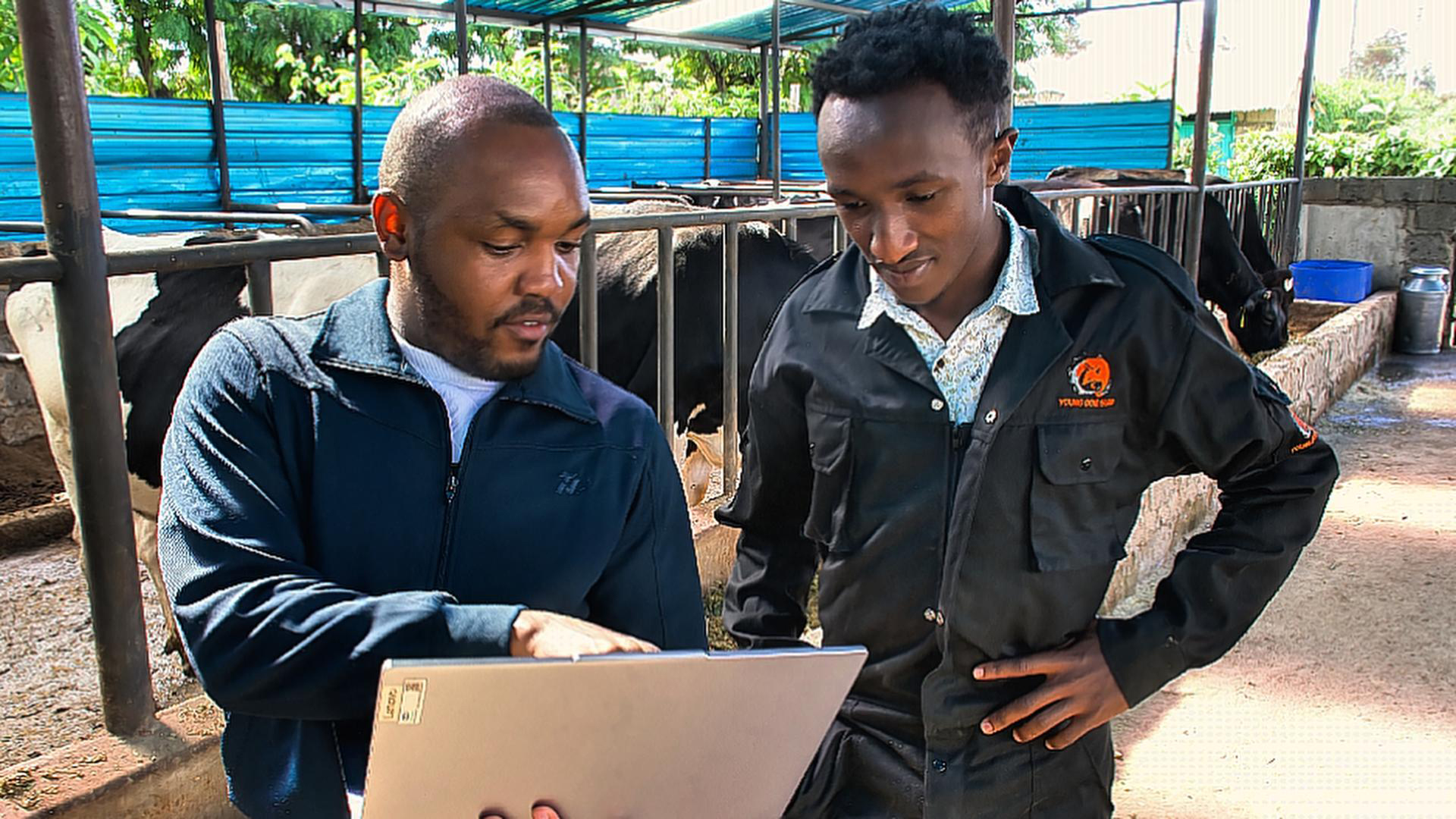 Electric bikes changing extension services for Kiambu dairy farmers
