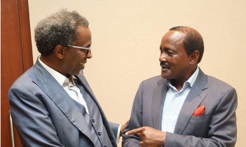 Advocates play key role in preserving constitutional order — Kalonzo