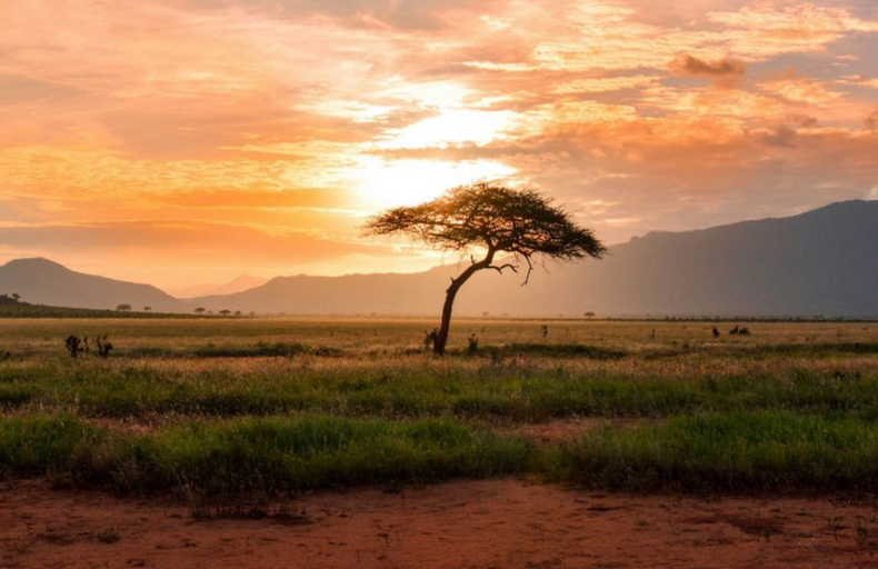 Met: Most parts of Kenya to remain sunny, dry