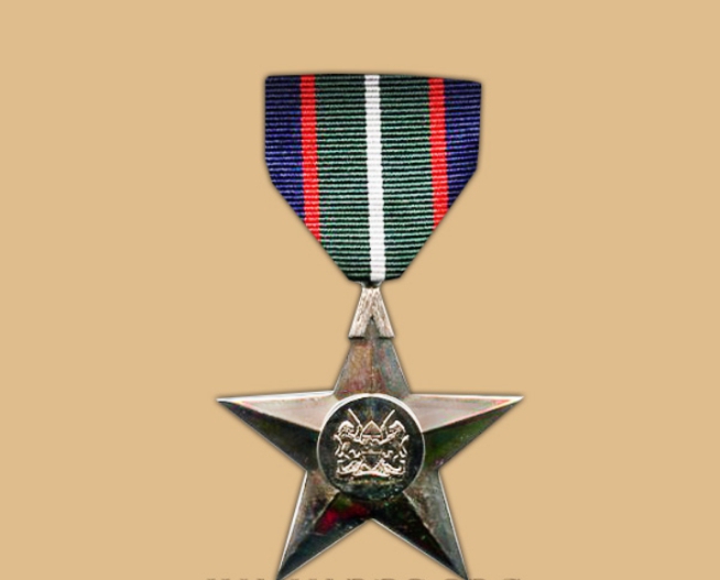Kenya honours fallen peacekeepers with Silver Star Medals