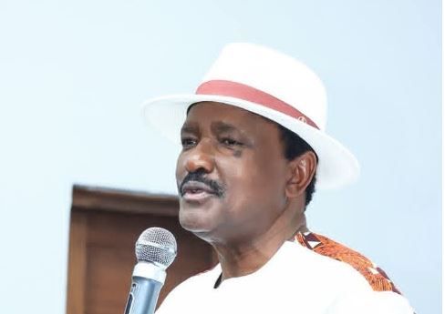 Kalonzo: Kenya in revolutionary mode
