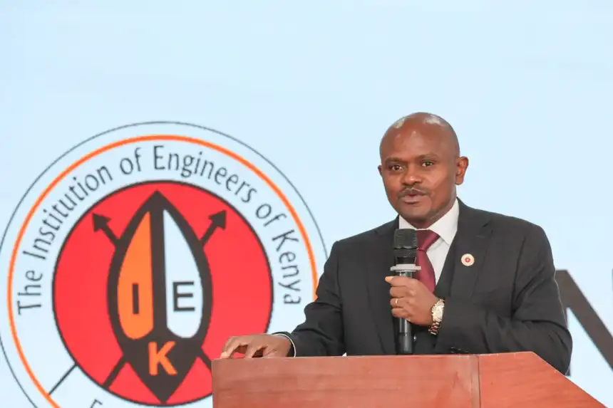 Engineers call for local processing of minerals to boost economic gains