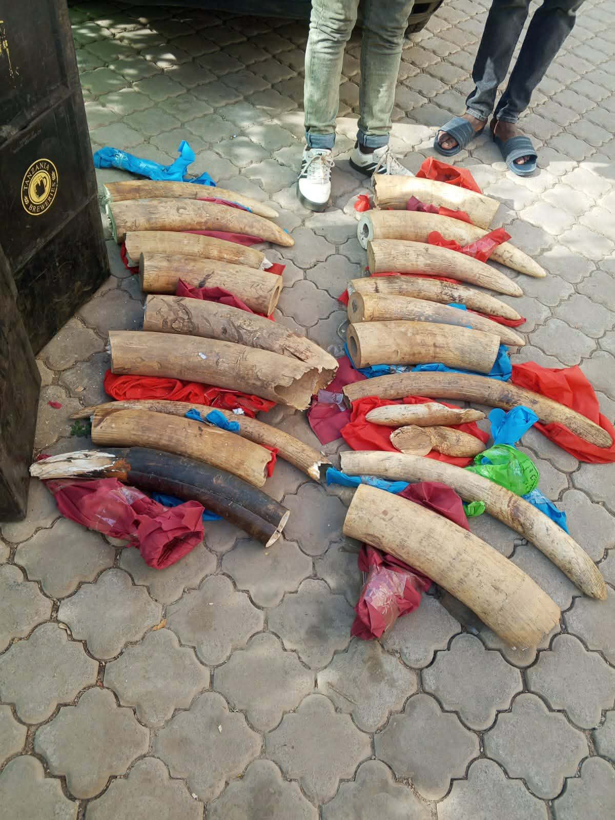 Sh11m ivory seized, two foreigners arrested