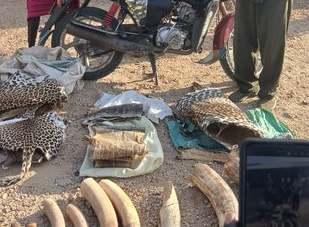 KWS arrests 3 suspects over Wildlife trophies