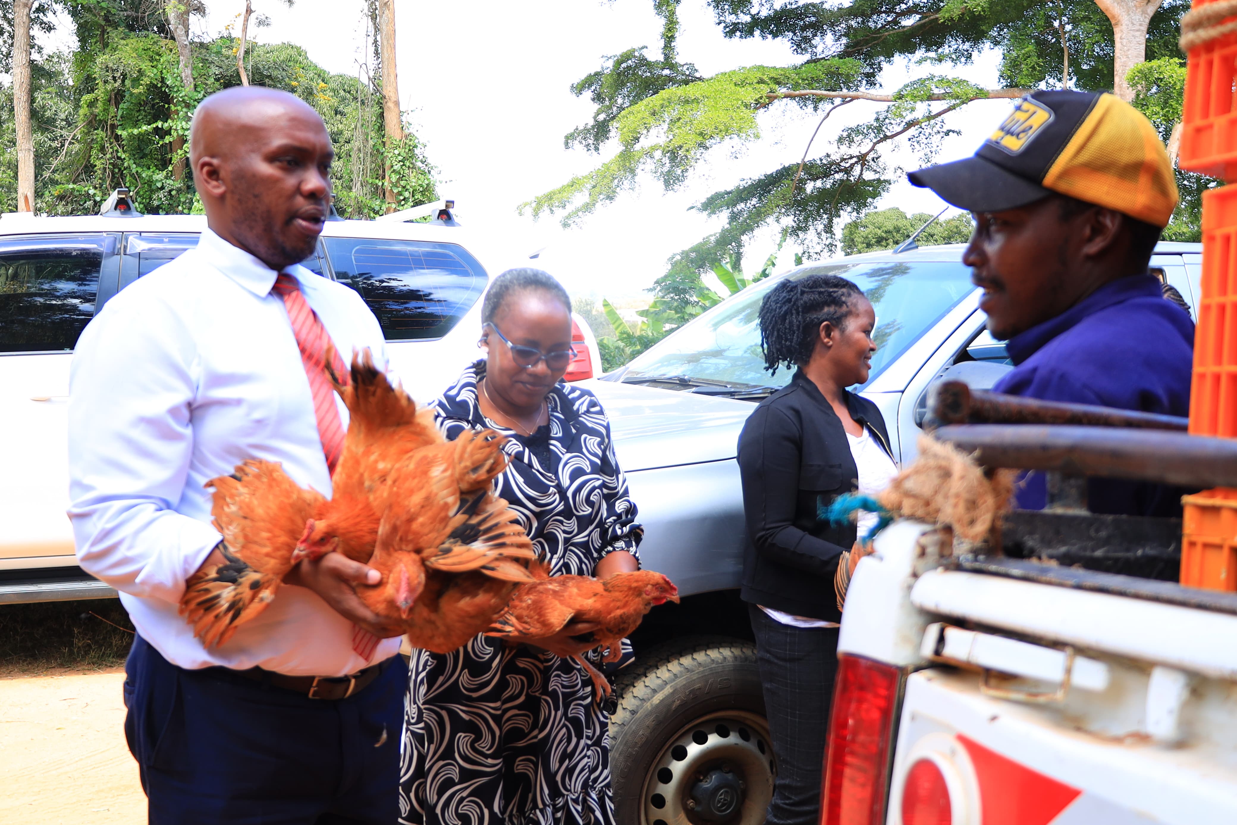 Poultry genetic boosting drives a boon for Kitui farmers
