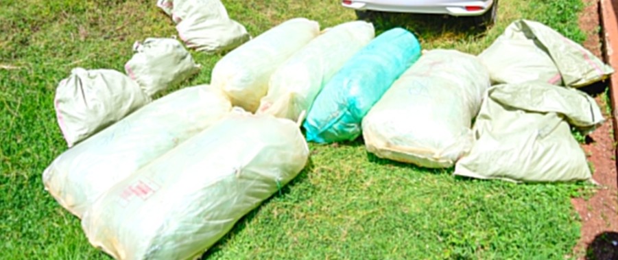 Suspect arrested while ferrying Sh13m bhang in Keiyo South