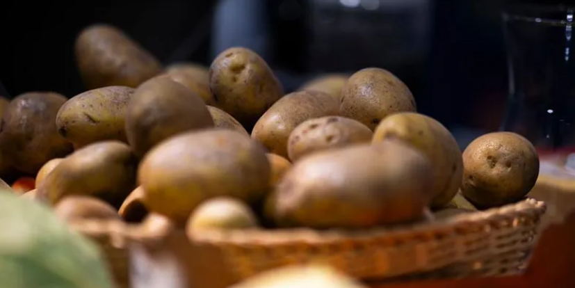German farm gives away millions of potatoes after bumper harvest
