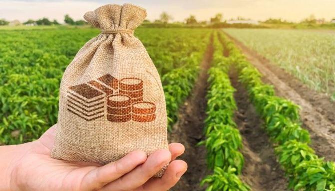 RUTERE: Addressing the myths: What the public should know about taxation
