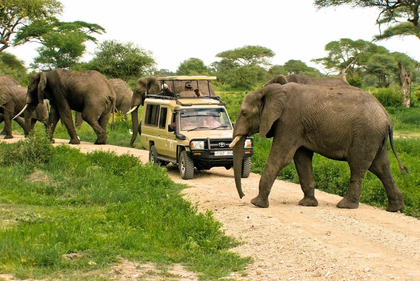Twiga Tours: From renting out vans in 80s to World’s top Safari company