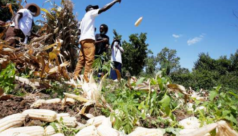 Agriculture review of 2025, what 2026 holds