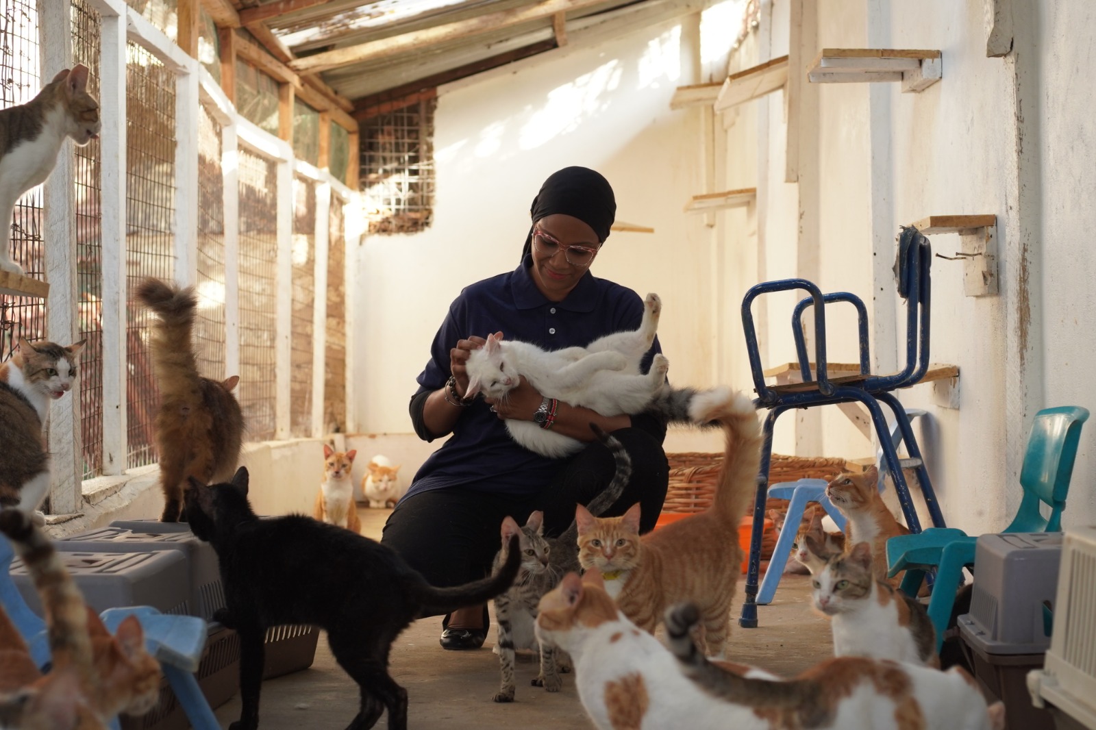 Nusrat breaks the jinn curse to rescue stray cats in Mombasa