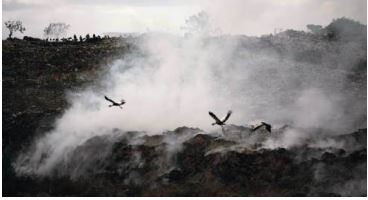 EDITORIAL: Nairobi’s dumpsites demand urgent action