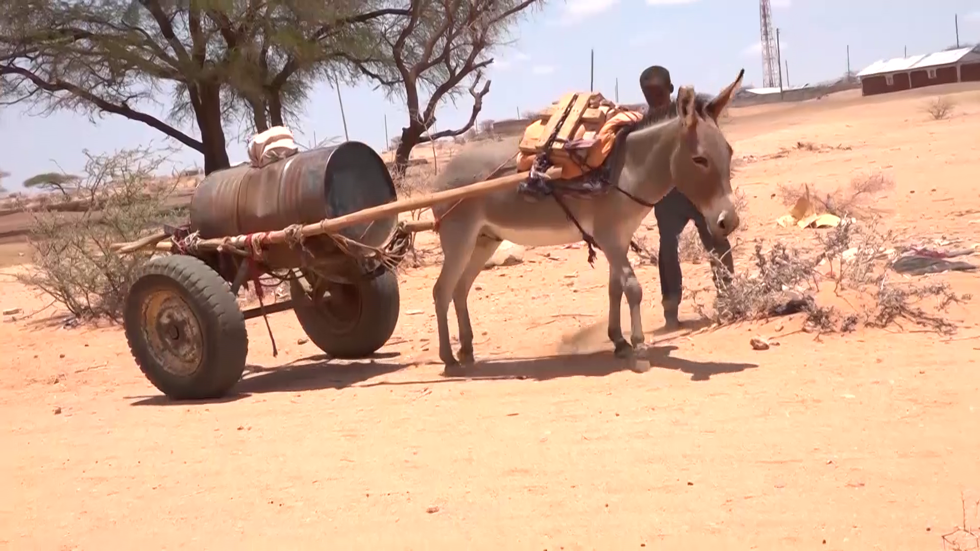 Drought drives cross-border migration into Garissa villages