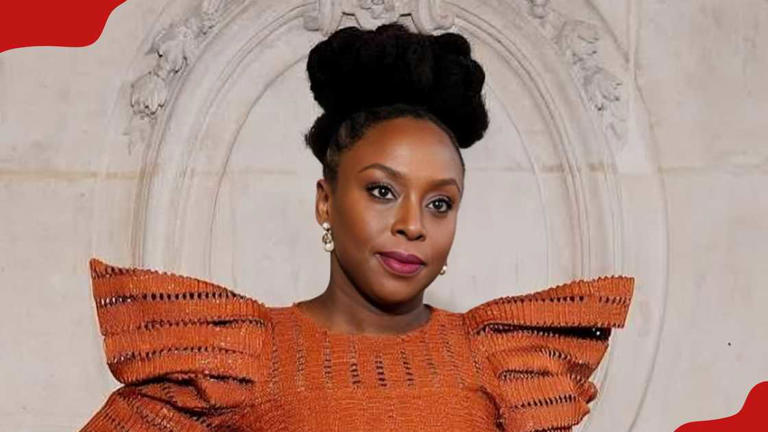 Why Chimamanda Adichie is trending on X