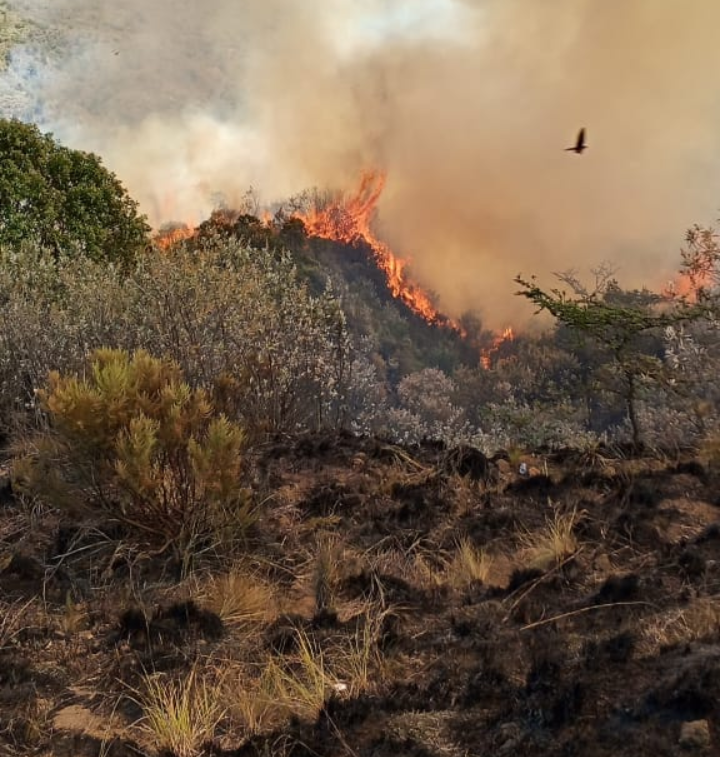 KWS: Mt Longonot wildfire fully contained