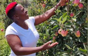 Renowned apple ambassador and founder of Wambugu Apples hospitalised