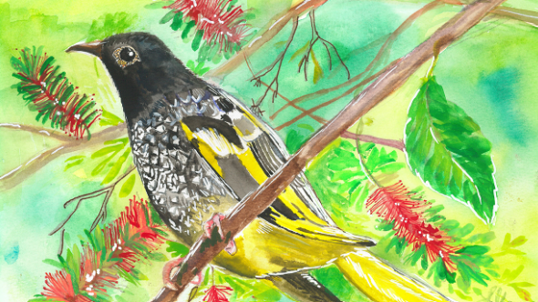 IFAW launches 2026 world wildlife day youth art contest