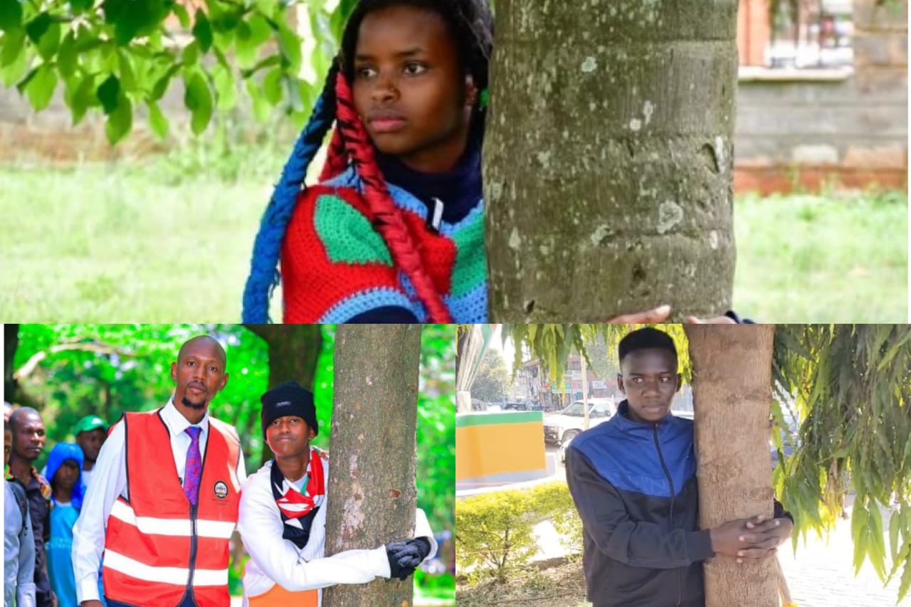 Tree-hugging: From Muthoni’s 72hr feat to new challenges