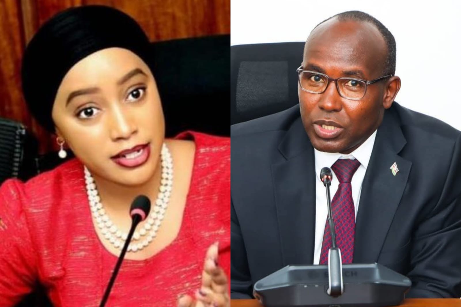 Lelegwe denies claims of sending goons after Hezena's claims