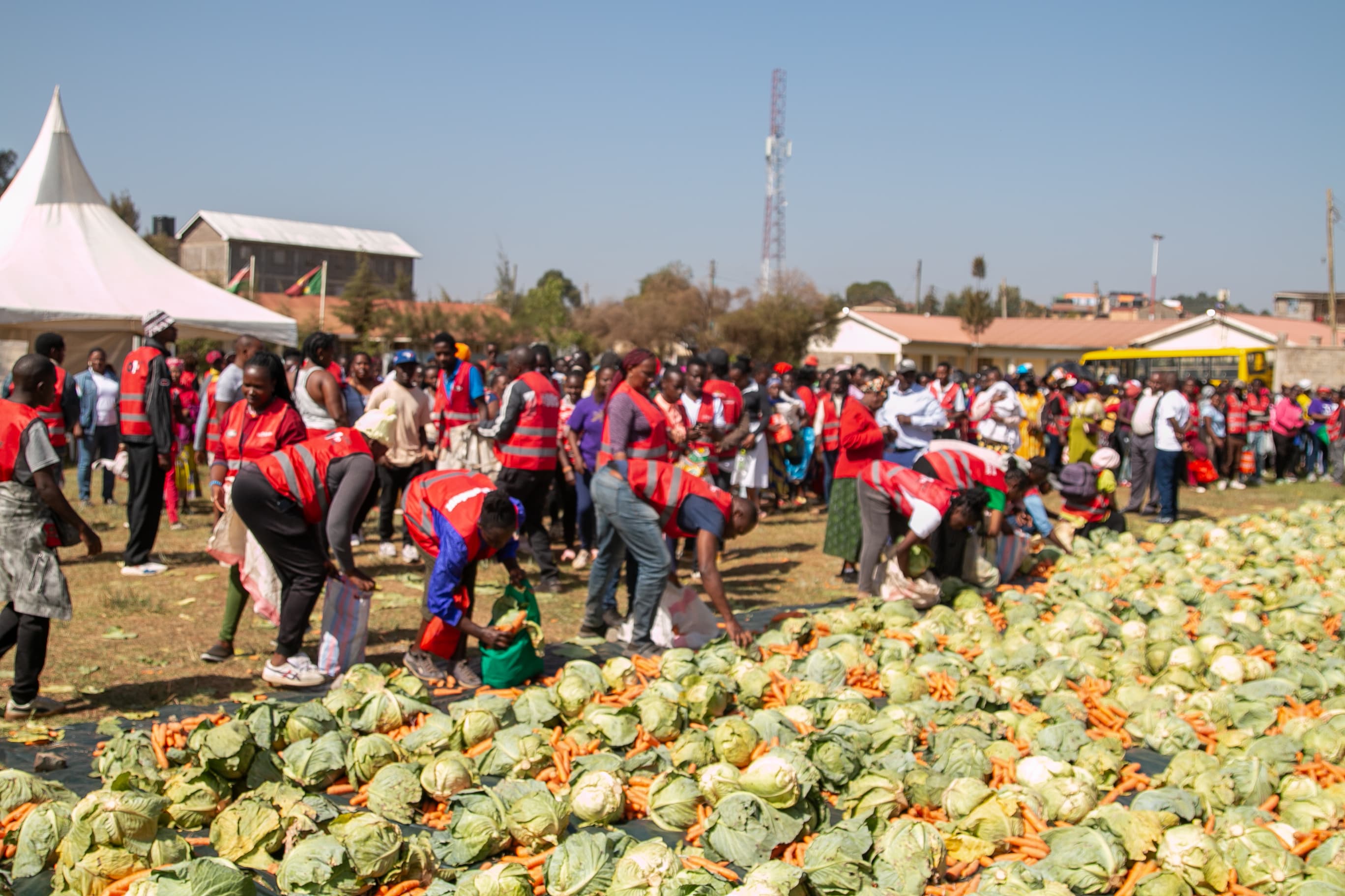 Zero to one: The food drive helping Nairobi families earn and eat