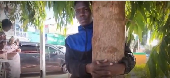 Murang&rsquo;a man begins 80-hour tree-hugging challenge to raise cancer awareness