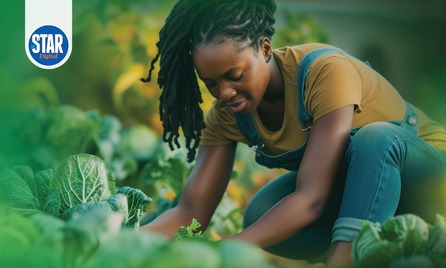 Government interventions driving agricultural productivity