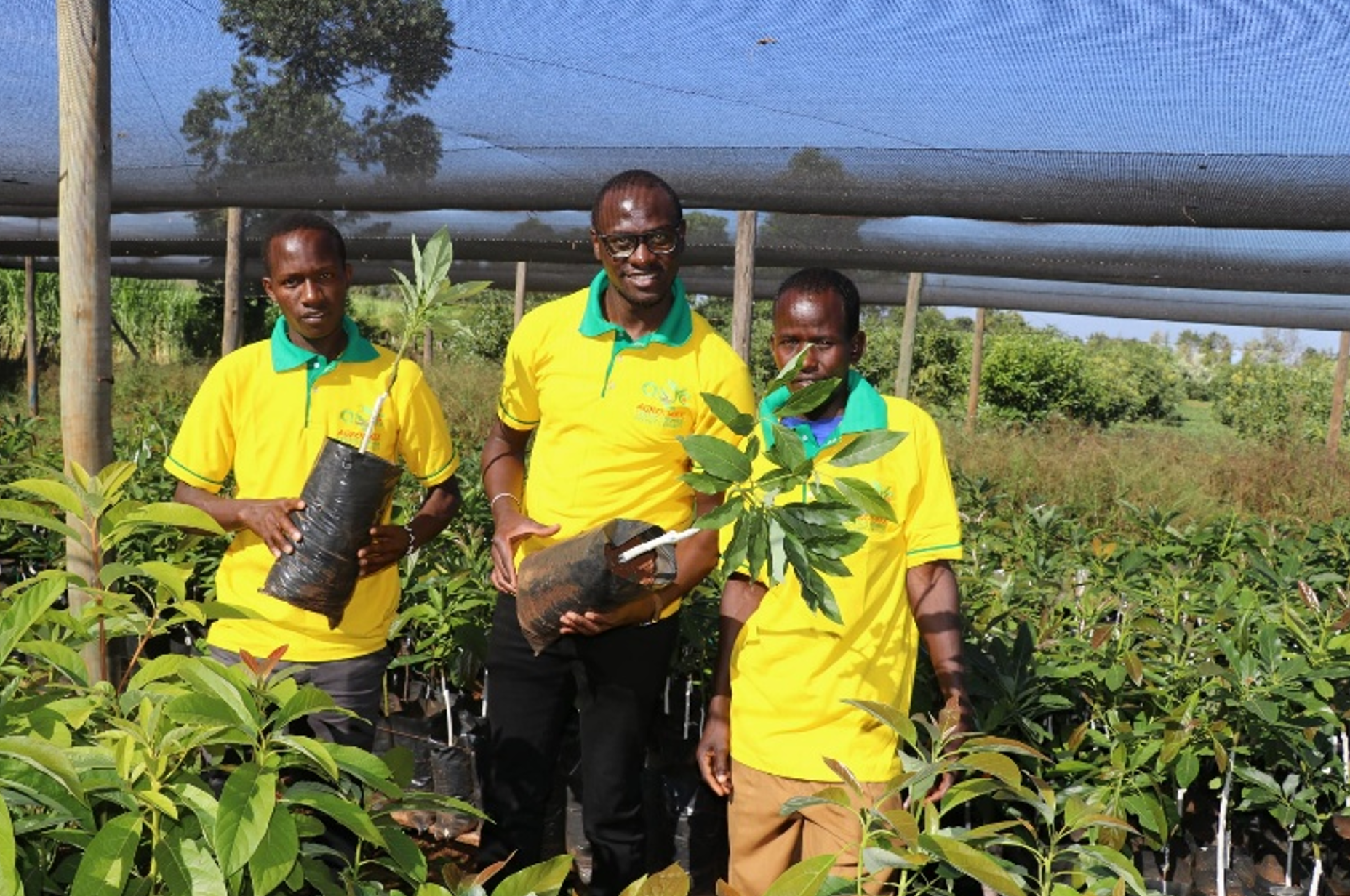 Turning Kenyan agriculture into opportunity at home and abroad