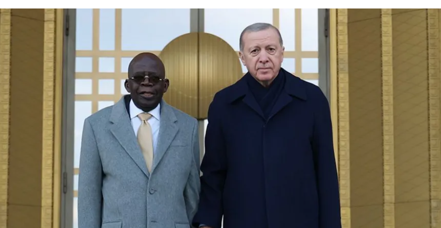 Nigeria president 'in great shape' after falling