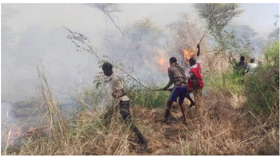 Dry season may spark wildfires, cautions Kenya Forest Service