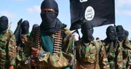 Over 30 al-Shabaab militants killed in Somalia