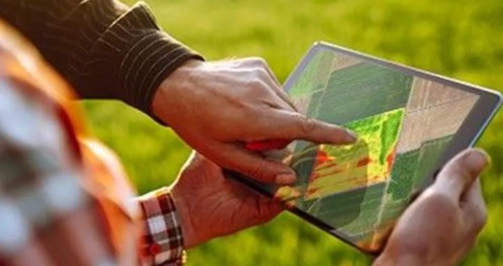 Are 'tech dense' farms the future of farming?