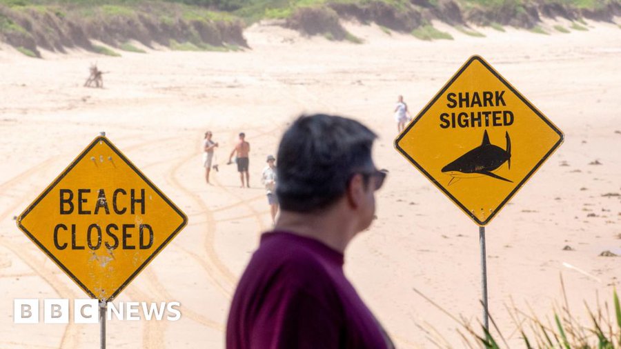 Boy, 12, dies from injuries after Sydney shark attack