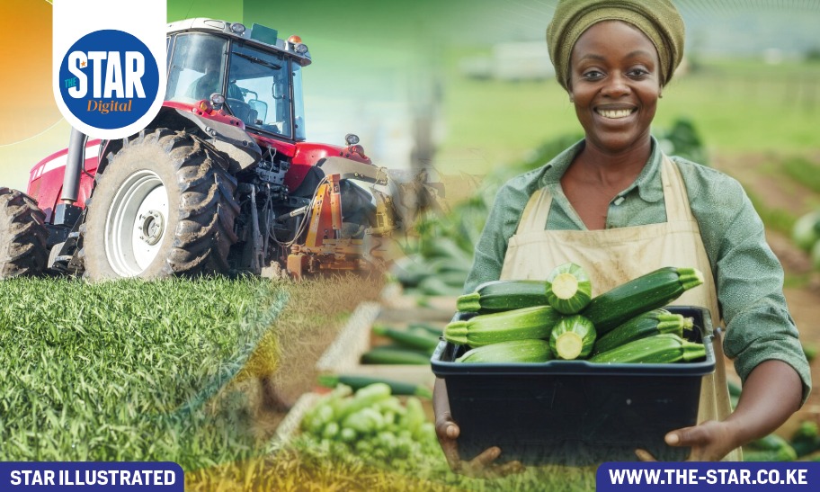 Reasons why farmers applied for loans in Kenya