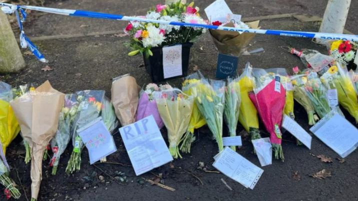 Teen admits murdering schoolboy, 12, on walk home