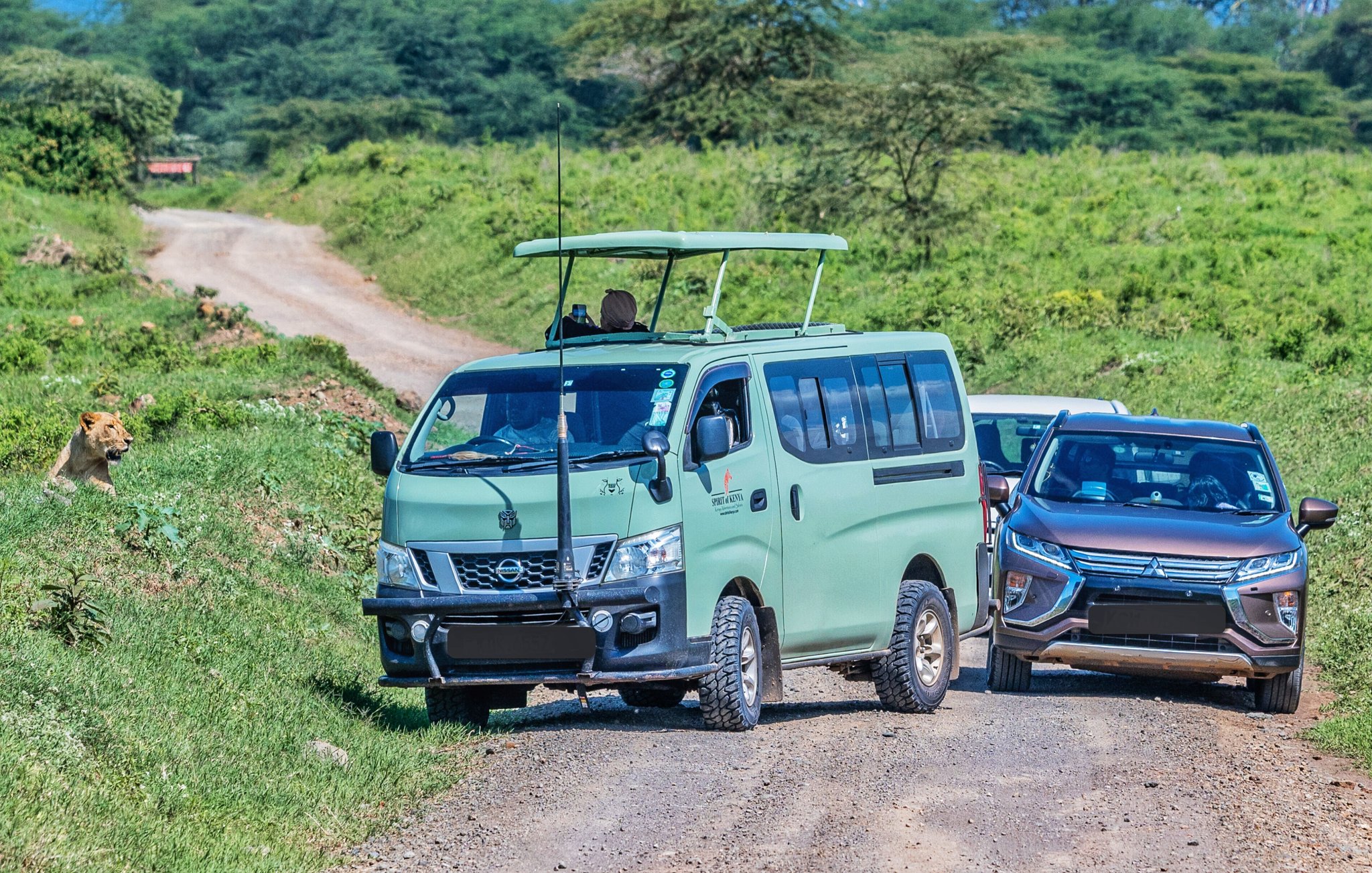 KWS records over 300,000 visitors to parks during festive season