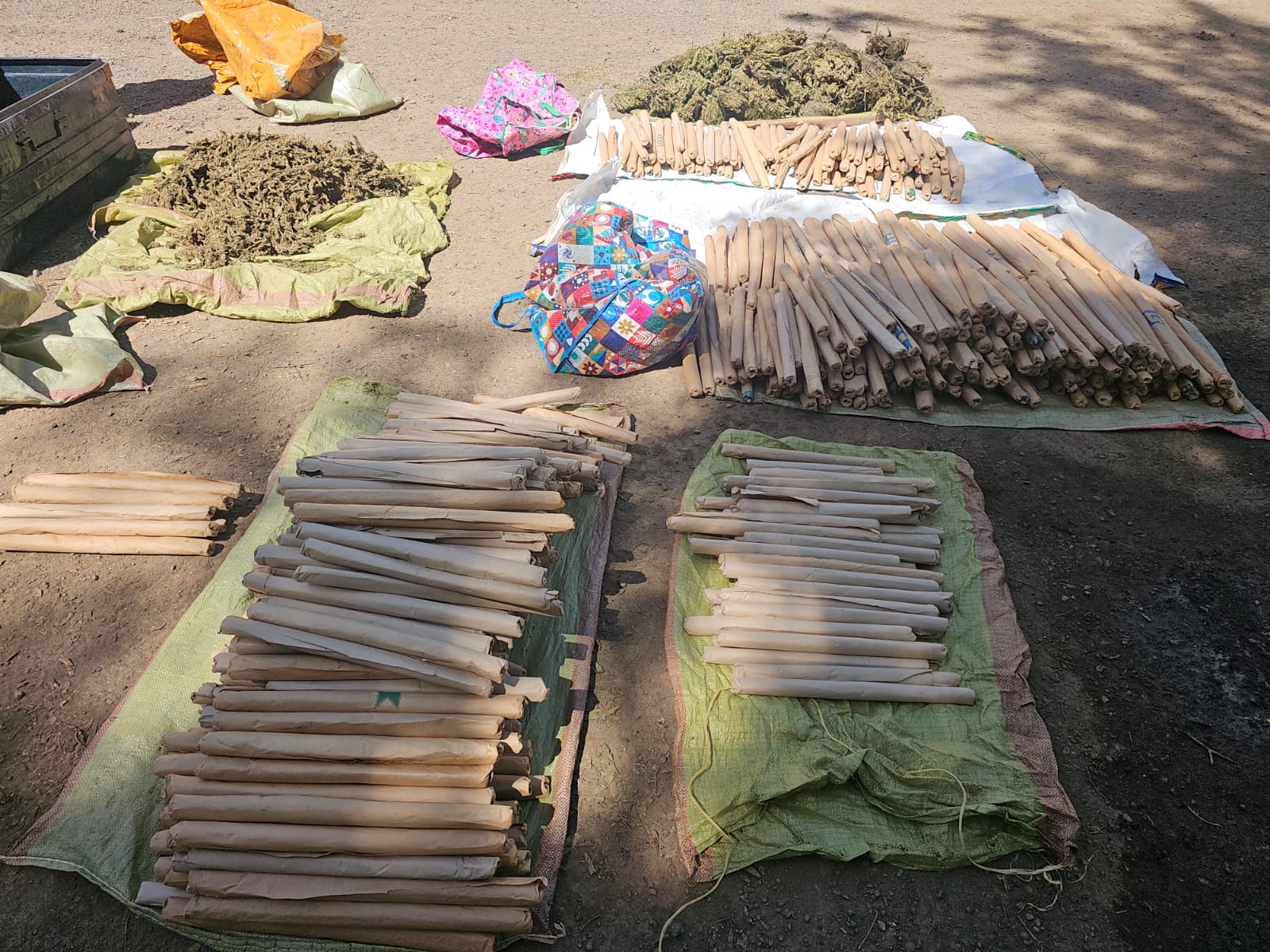 Shock in Kisumu as NACADA Busts Drug Den Near School, Nets Repeat Trafficker