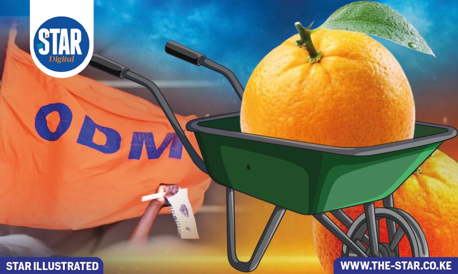 Mulembe nation poll: Which political parties are the most popular?